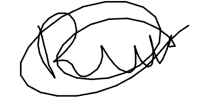 Firma del paciente